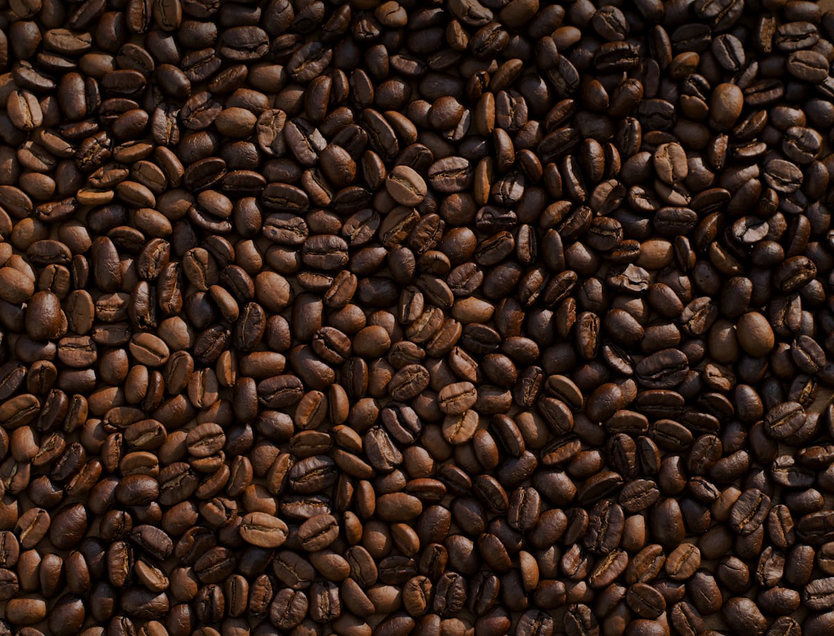 Cameroon coffee EUDR exposure in highland smallholder coffee farm with beans and traceability